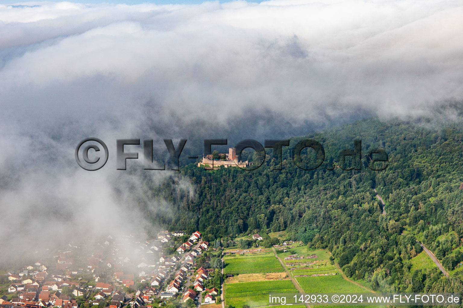 Vue aérienne de Château de Landeck le matin sous des nuages bas à Klingenmünster dans le département Rhénanie-Palatinat, Allemagne