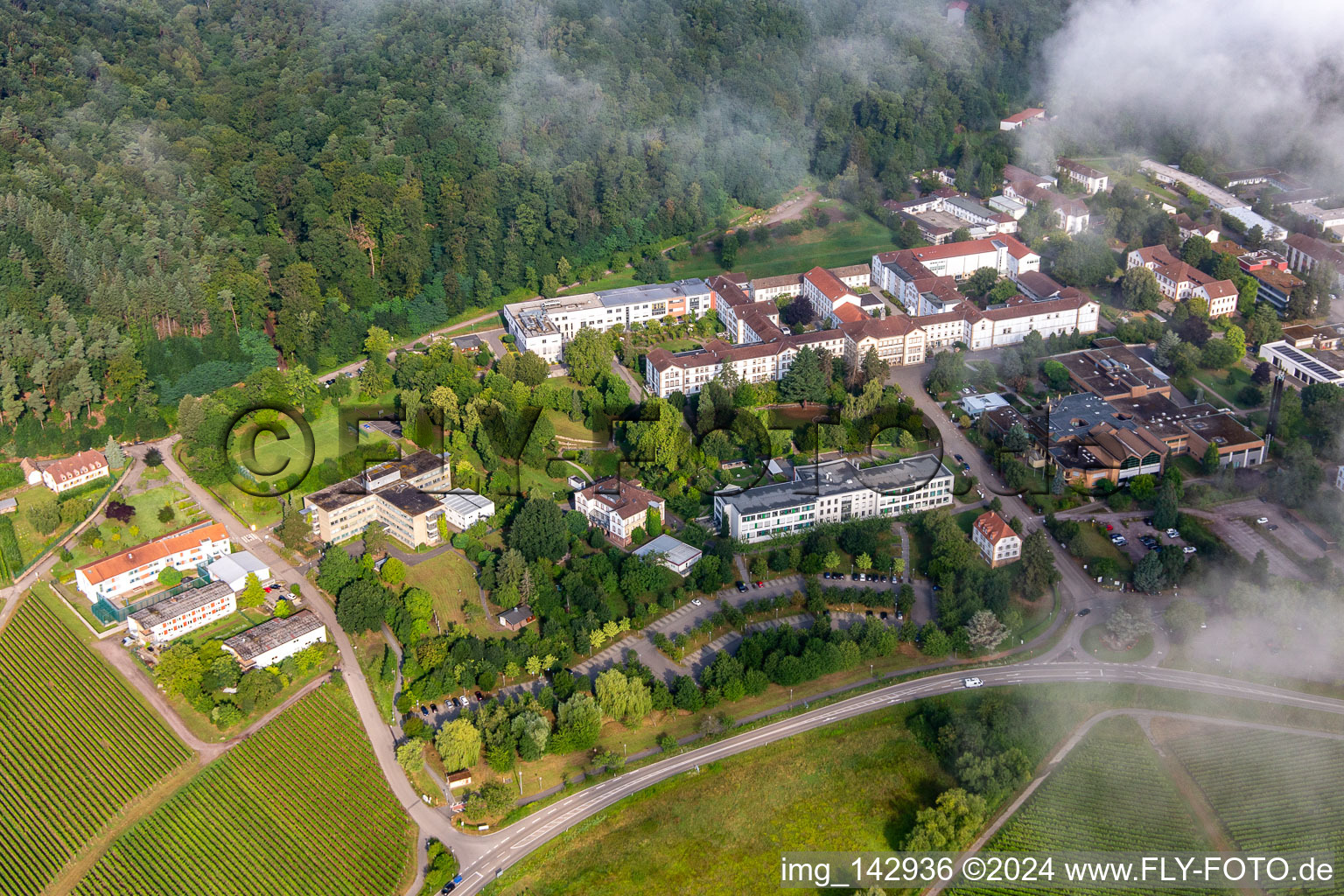 Des nuages denses au-dessus de l’hôpital palatin de psychiatrie et de neurologie à Klingenmünster dans le département Rhénanie-Palatinat, Allemagne hors des airs