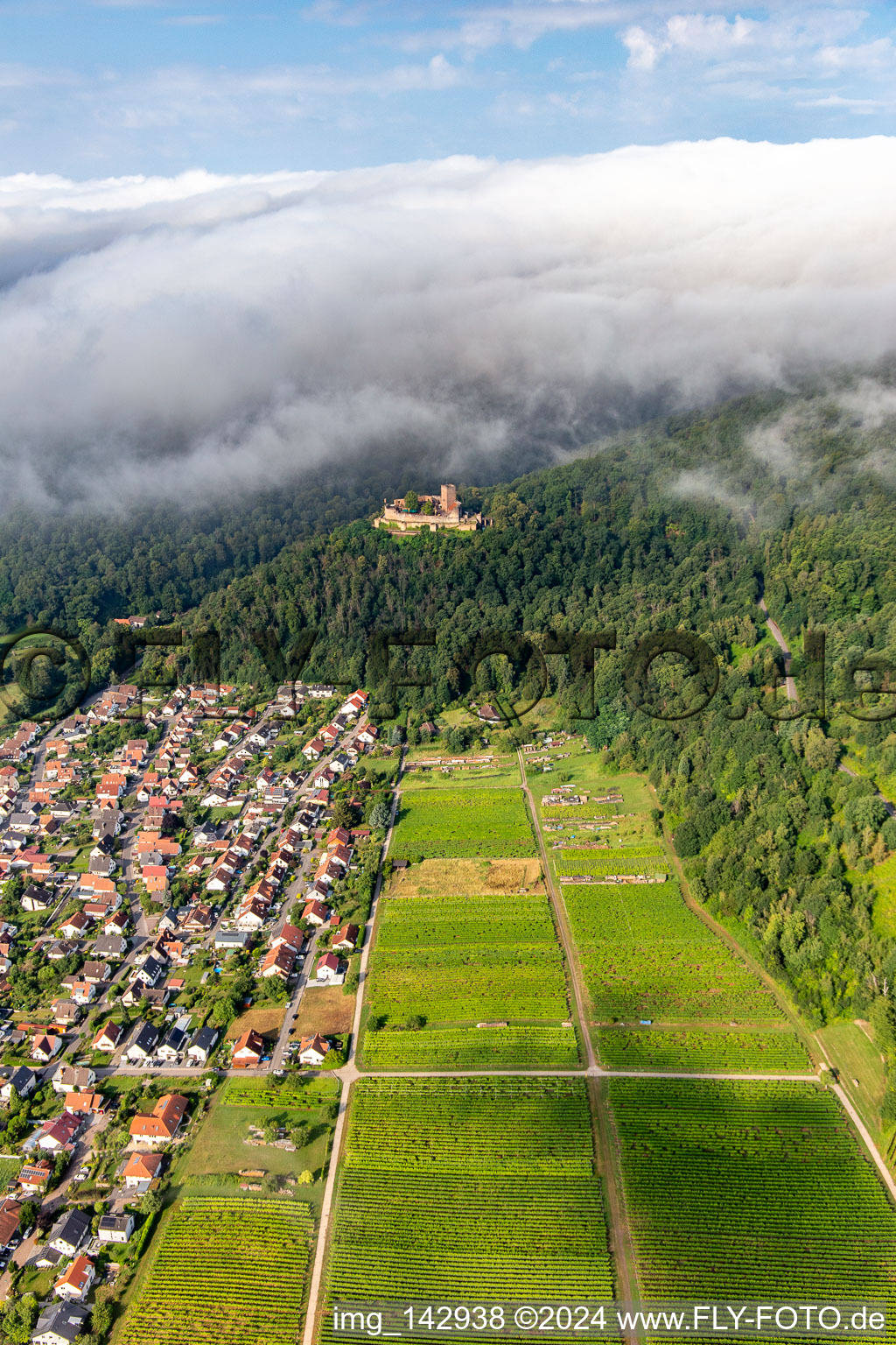 Vue oblique de Château de Landeck le matin sous des nuages bas à Klingenmünster dans le département Rhénanie-Palatinat, Allemagne