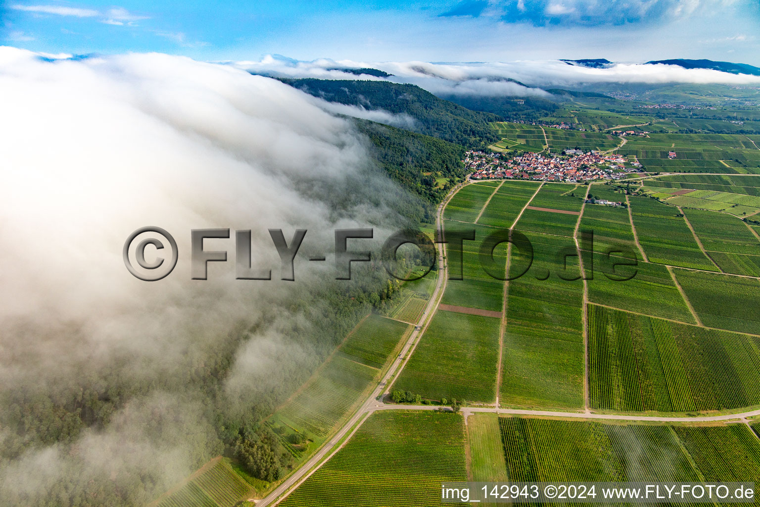 Vue aérienne de Des nuages denses venant de l'ouest s'écoulent sur le Haardtrand en dessous du Madenburg à Eschbach dans le département Rhénanie-Palatinat, Allemagne