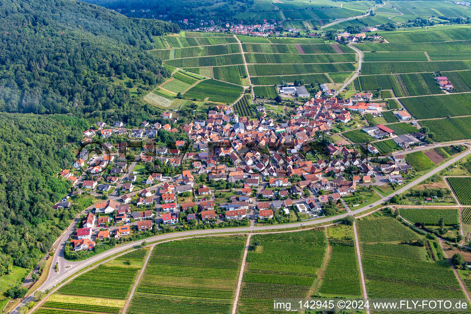 Vue aérienne de Du sud le matin à Eschbach dans le département Rhénanie-Palatinat, Allemagne