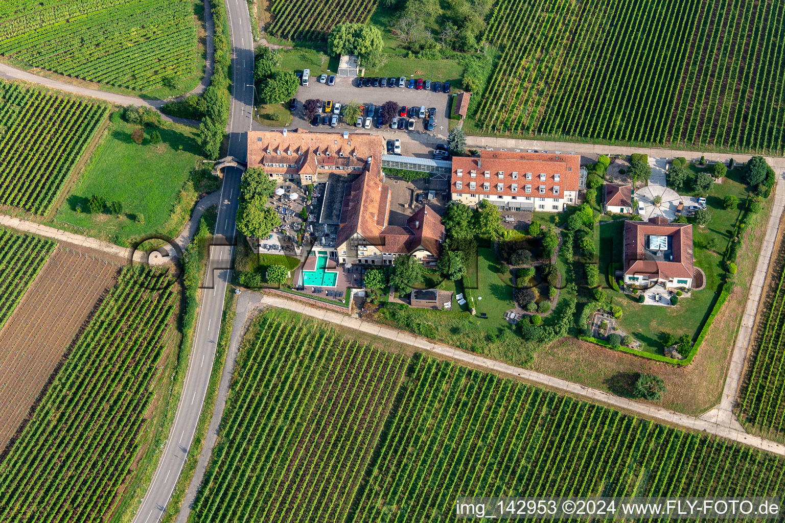 Vue oblique de Hôtel 4 étoiles Leinsweiler Cour entre vignes le matin à Leinsweiler dans le département Rhénanie-Palatinat, Allemagne