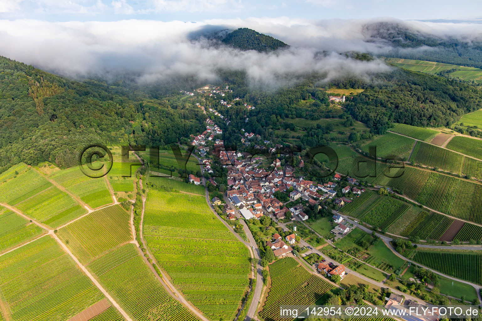 Vue aérienne de Birnbachtal le matin du sud-est à Leinsweiler dans le département Rhénanie-Palatinat, Allemagne