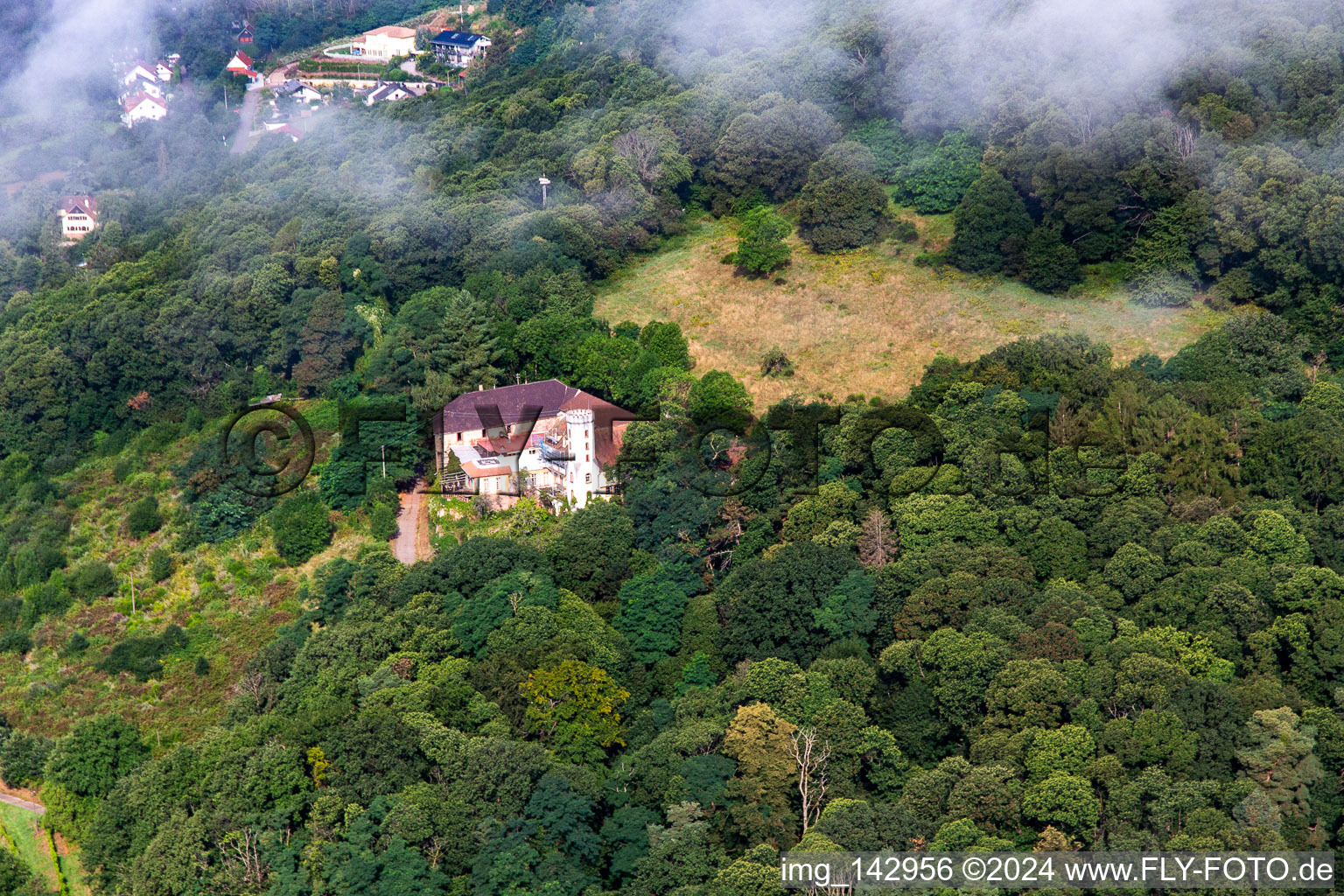 Vue aérienne de Slevogthof depuis l'est à Leinsweiler dans le département Rhénanie-Palatinat, Allemagne