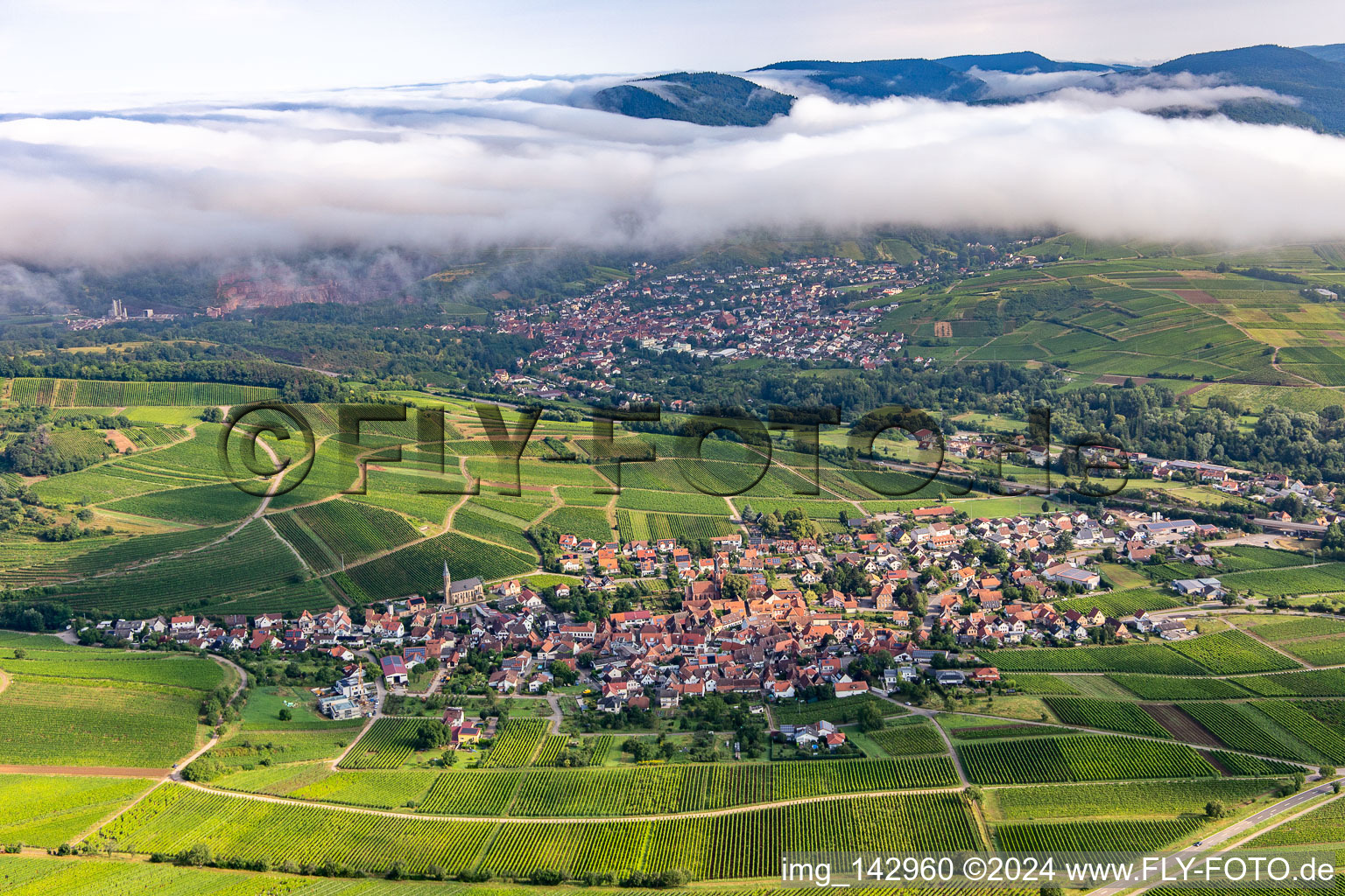 Vue aérienne de Ville viticole du sud à Birkweiler dans le département Rhénanie-Palatinat, Allemagne