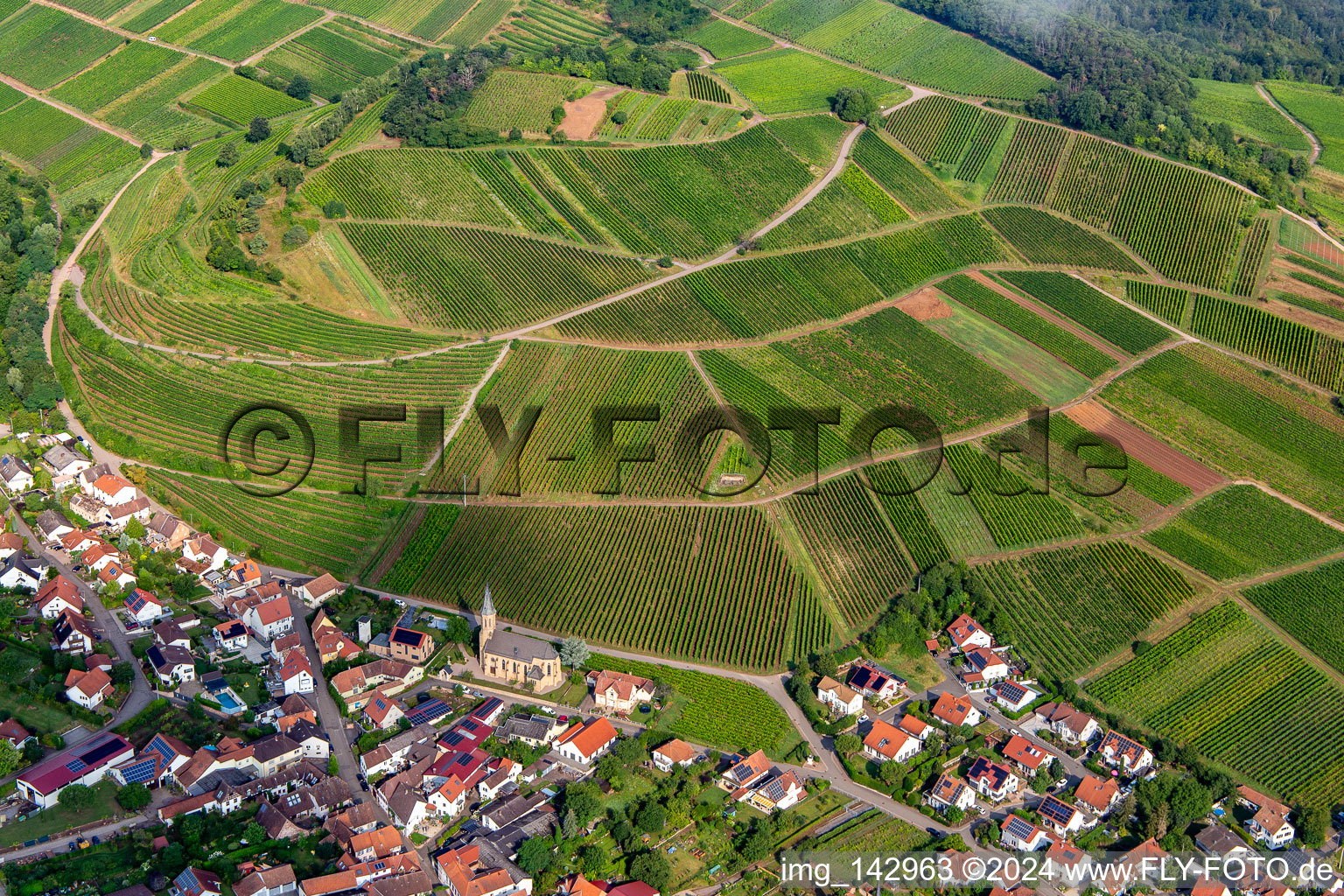 Vue aérienne de Vignoble de châtaignier derrière le village viticole du sud-est à Birkweiler dans le département Rhénanie-Palatinat, Allemagne