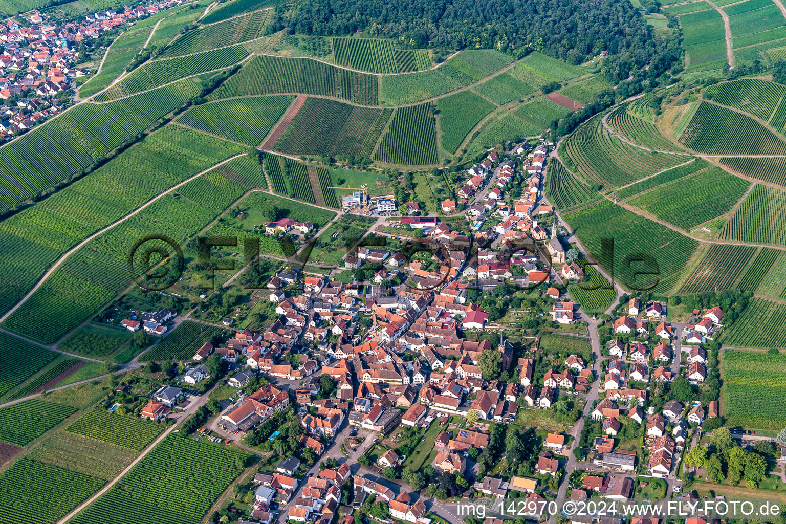 Vue aérienne de Vignoble de châtaignier derrière le village viticole depuis l'est à Birkweiler dans le département Rhénanie-Palatinat, Allemagne