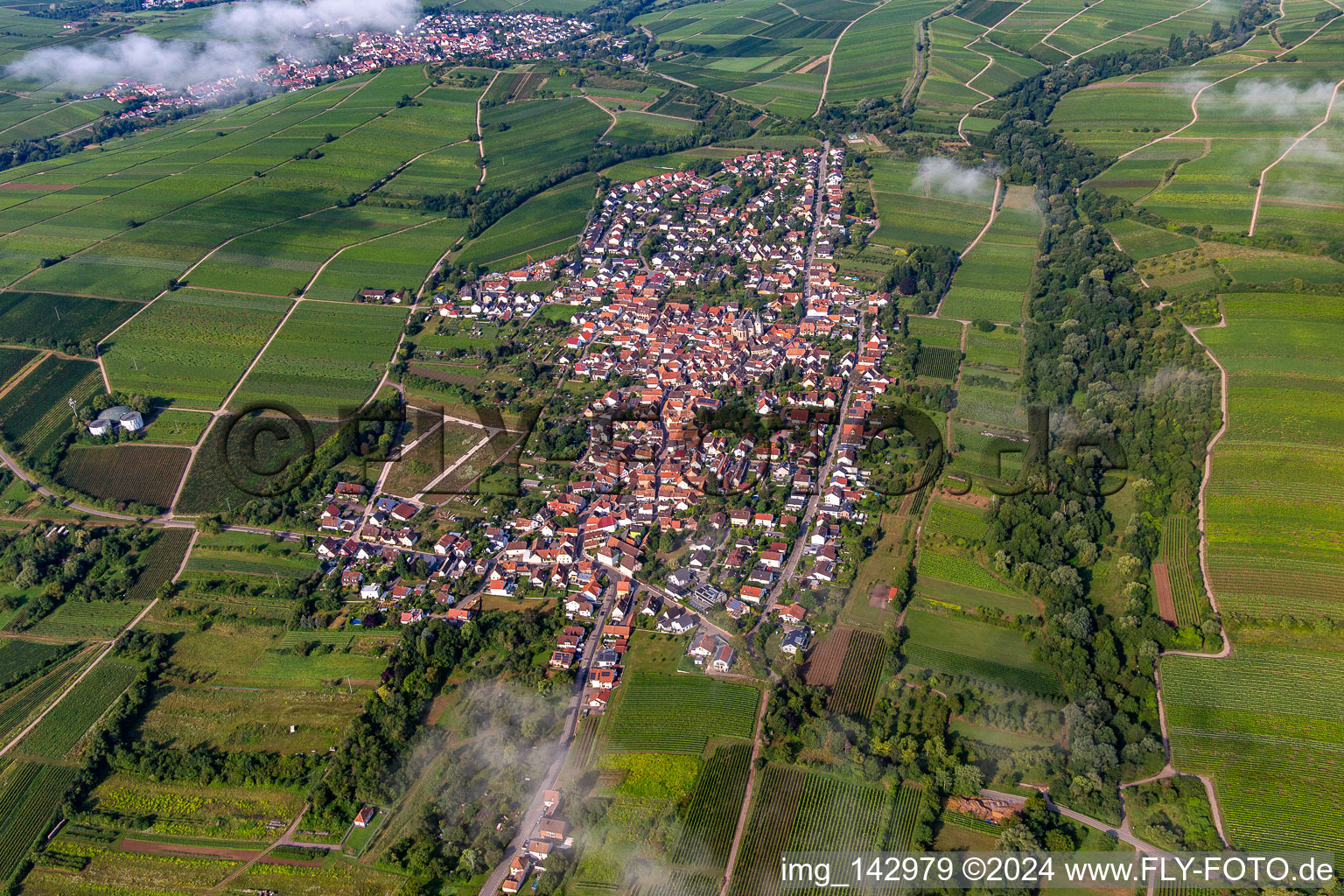 Vue aérienne de Village de l'est le matin sous les nuages à le quartier Arzheim in Landau in der Pfalz dans le département Rhénanie-Palatinat, Allemagne