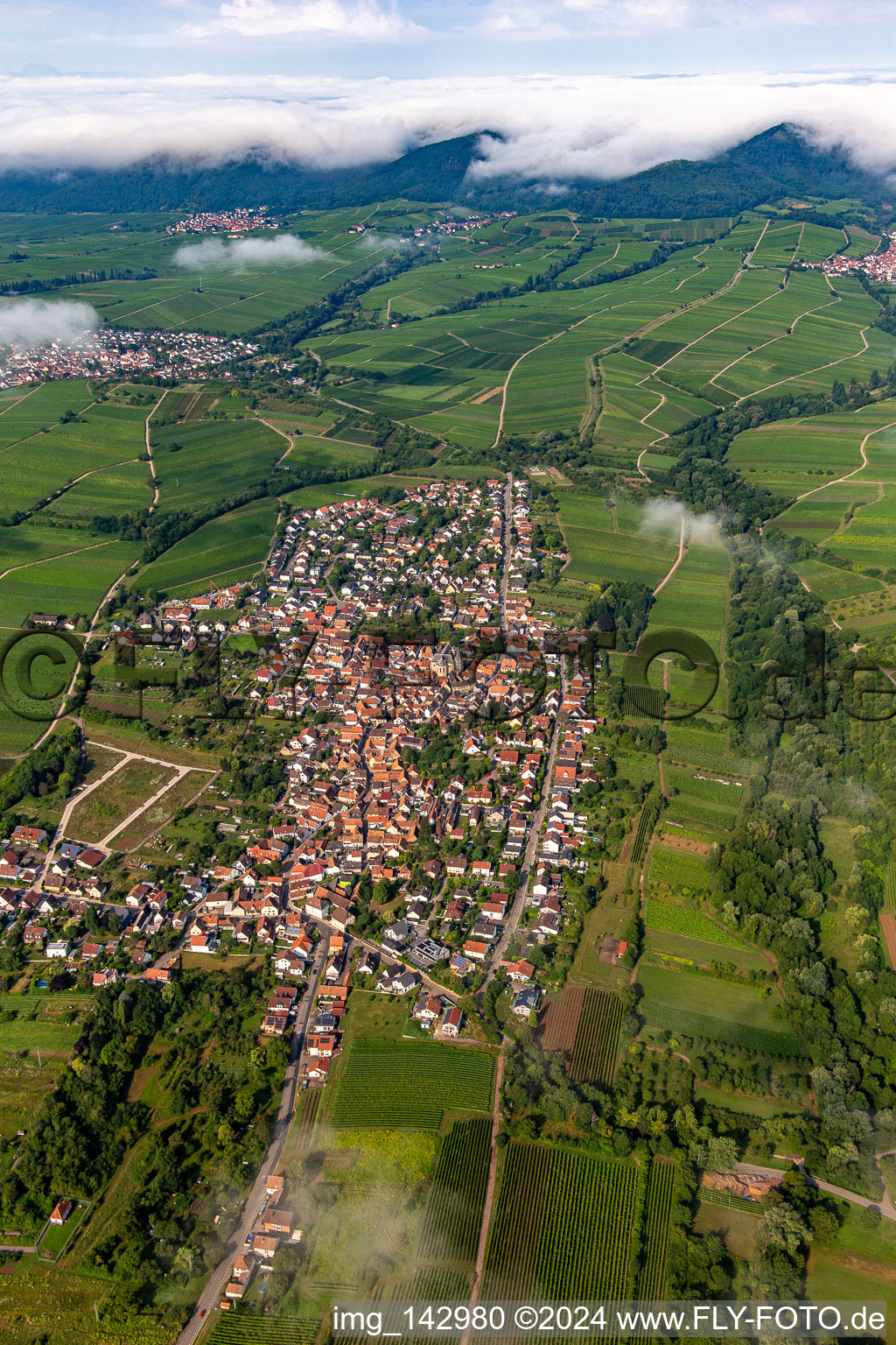 Vue aérienne de Village de l'est le matin sous les nuages à le quartier Arzheim in Landau in der Pfalz dans le département Rhénanie-Palatinat, Allemagne