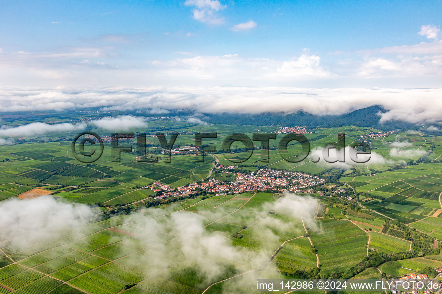 Vue aérienne de Vignobles du petit Kalmit à la lisière de la forêt nuageuse du Palatinat entre Arzheim, Ilbeshheim et Eschbach à le quartier Ilbesheim in Ilbesheim bei Landau in der Pfalz dans le département Rhénanie-Palatinat, Allemagne