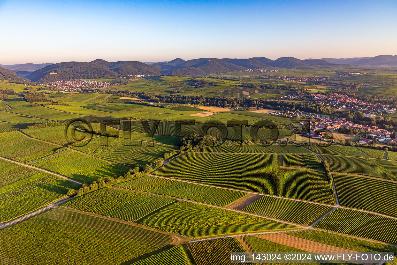 Vue aérienne de Des vignobles partout dans le Klingbachtal entre Klingenmünster et Klingen à le quartier Klingen in Heuchelheim-Klingen dans le département Rhénanie-Palatinat, Allemagne