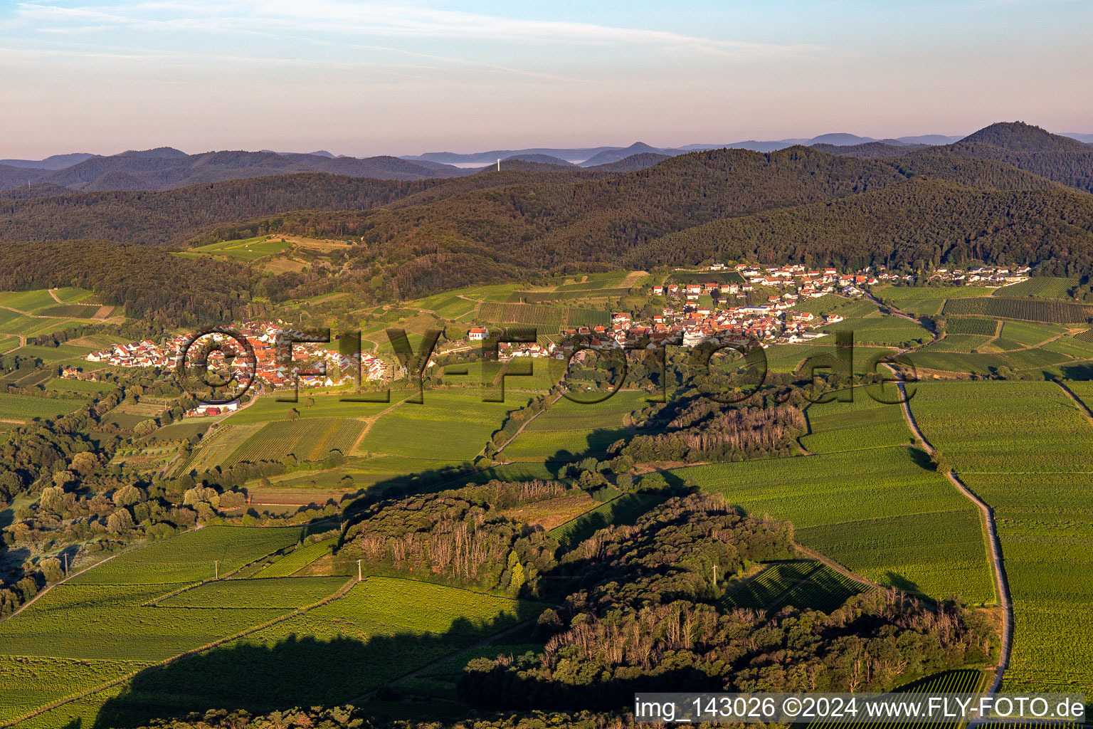 Vue aérienne de De l'est à le quartier Gleiszellen in Gleiszellen-Gleishorbach dans le département Rhénanie-Palatinat, Allemagne