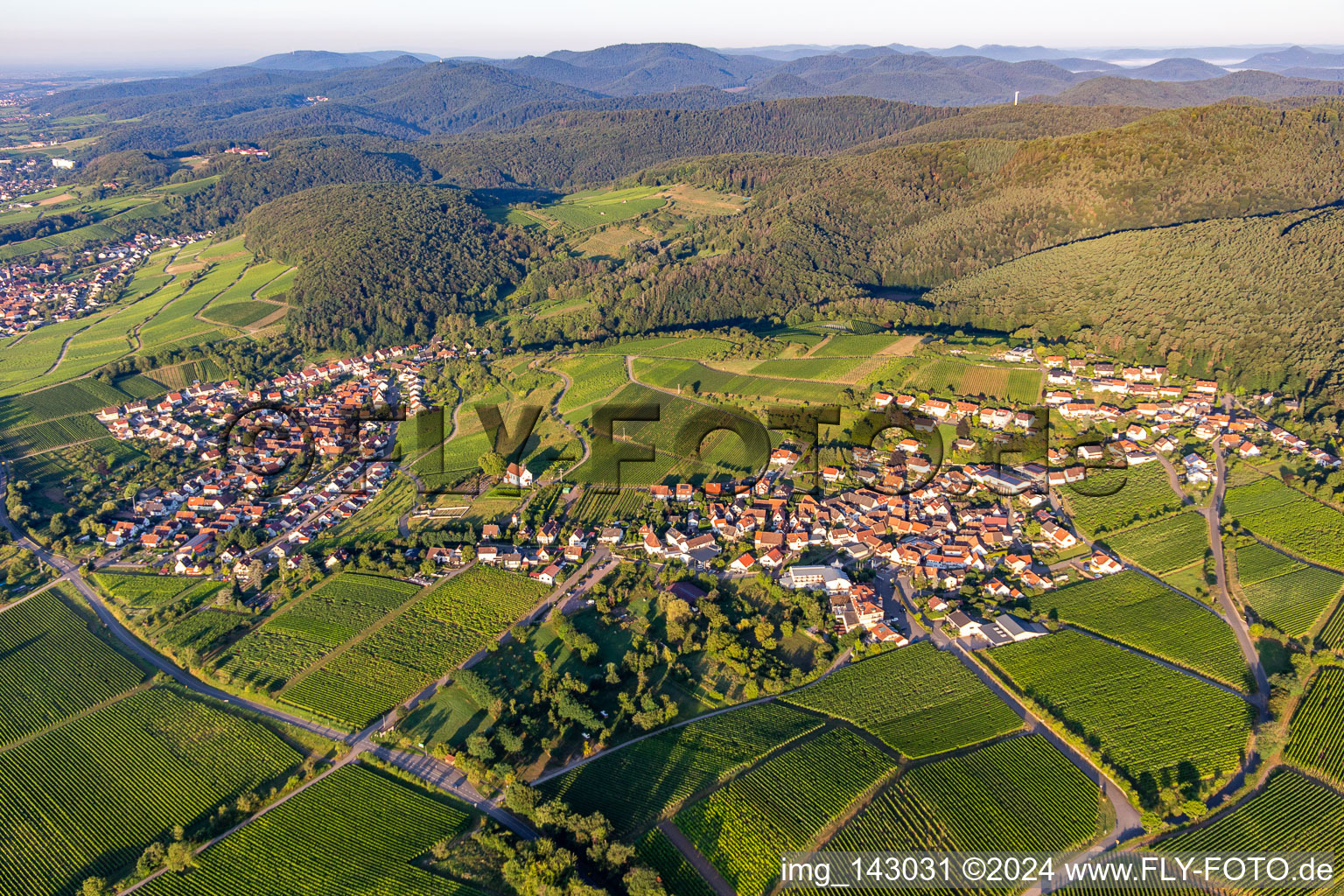 Vue aérienne de Du nord-est à le quartier Gleiszellen in Gleiszellen-Gleishorbach dans le département Rhénanie-Palatinat, Allemagne