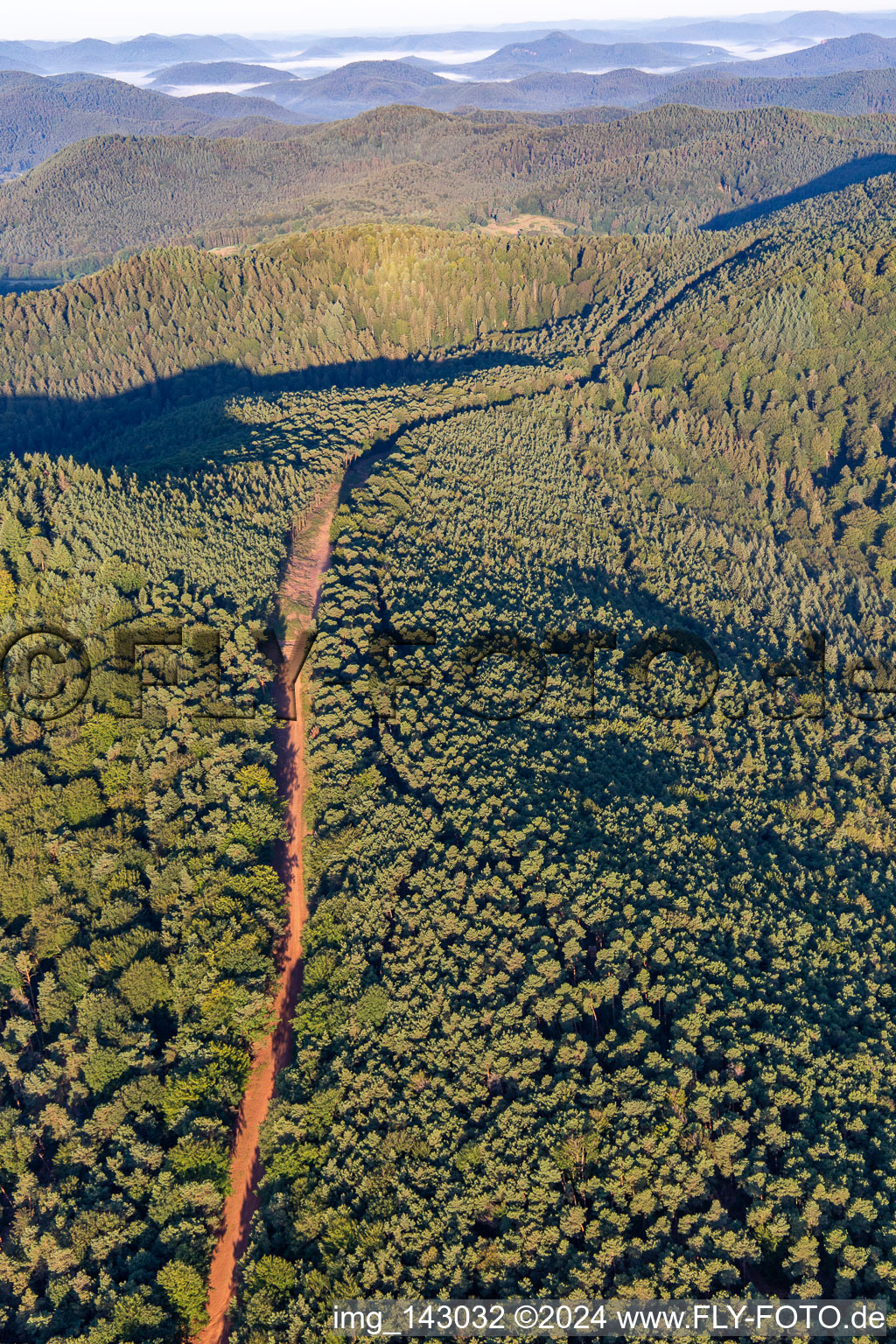 Vue aérienne de Tracé pour la nouvelle construction du tronçon de 51 km du gazoduc transeuropéen (TENP-I entre les Pays-Bas et la Suisse) entre Mittelbrunn et Klingenmünster à Klingenmünster dans le département Rhénanie-Palatinat, Allemagne