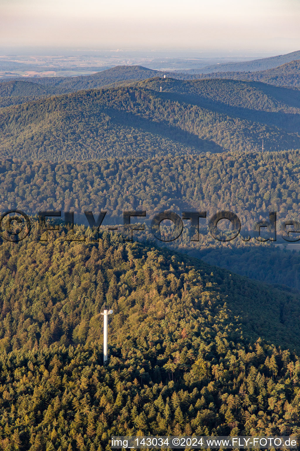 Vue aérienne de Tour Stäffelberg vue du nord à Dörrenbach dans le département Rhénanie-Palatinat, Allemagne