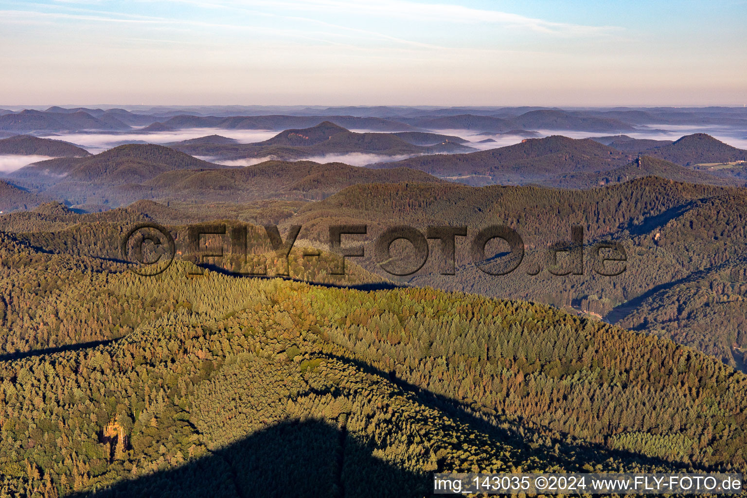 Vue aérienne de Montagnes de la forêt du sud du Palatinat à Darstein dans le département Rhénanie-Palatinat, Allemagne