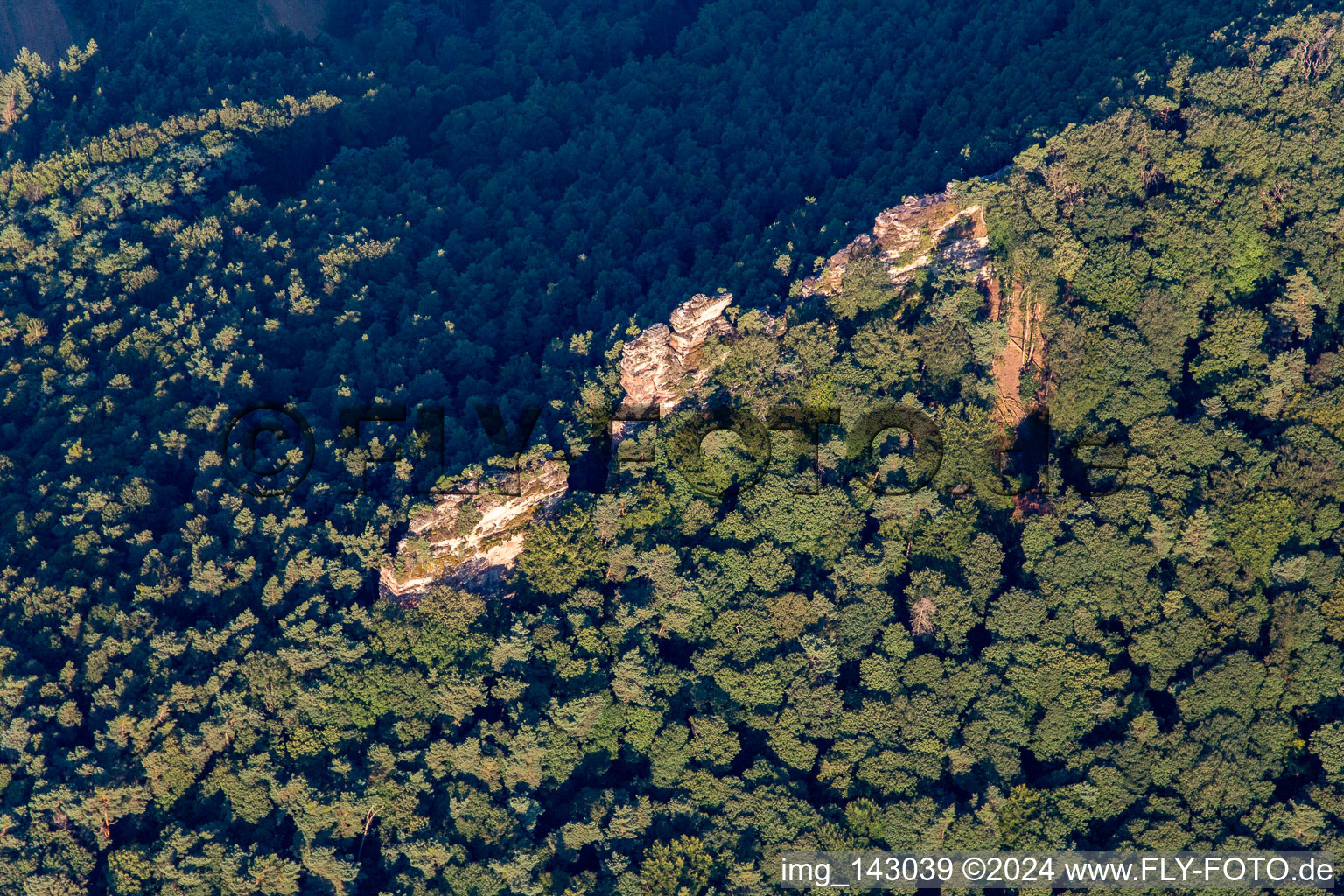 Vue aérienne de Pierres de vautour Luger de l'Est à Wernersberg dans le département Rhénanie-Palatinat, Allemagne