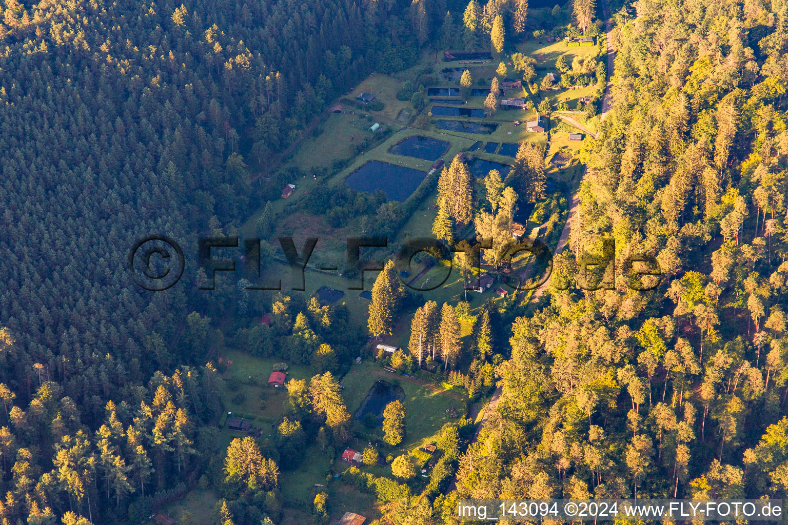 Vue aérienne de Étangs pour la pisciculture dans le Storrbach à le quartier Langmühle in Lemberg dans le département Rhénanie-Palatinat, Allemagne