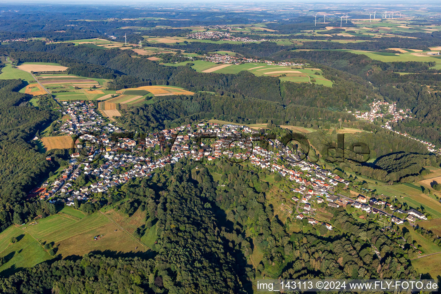 Vue aérienne de Du nord-est à le quartier Erlenbrunn in Pirmasens dans le département Rhénanie-Palatinat, Allemagne