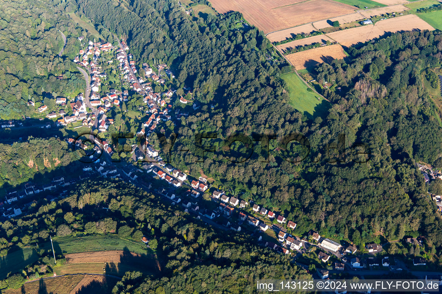 Vue aérienne de De l'est à le quartier Niedersimten in Pirmasens dans le département Rhénanie-Palatinat, Allemagne