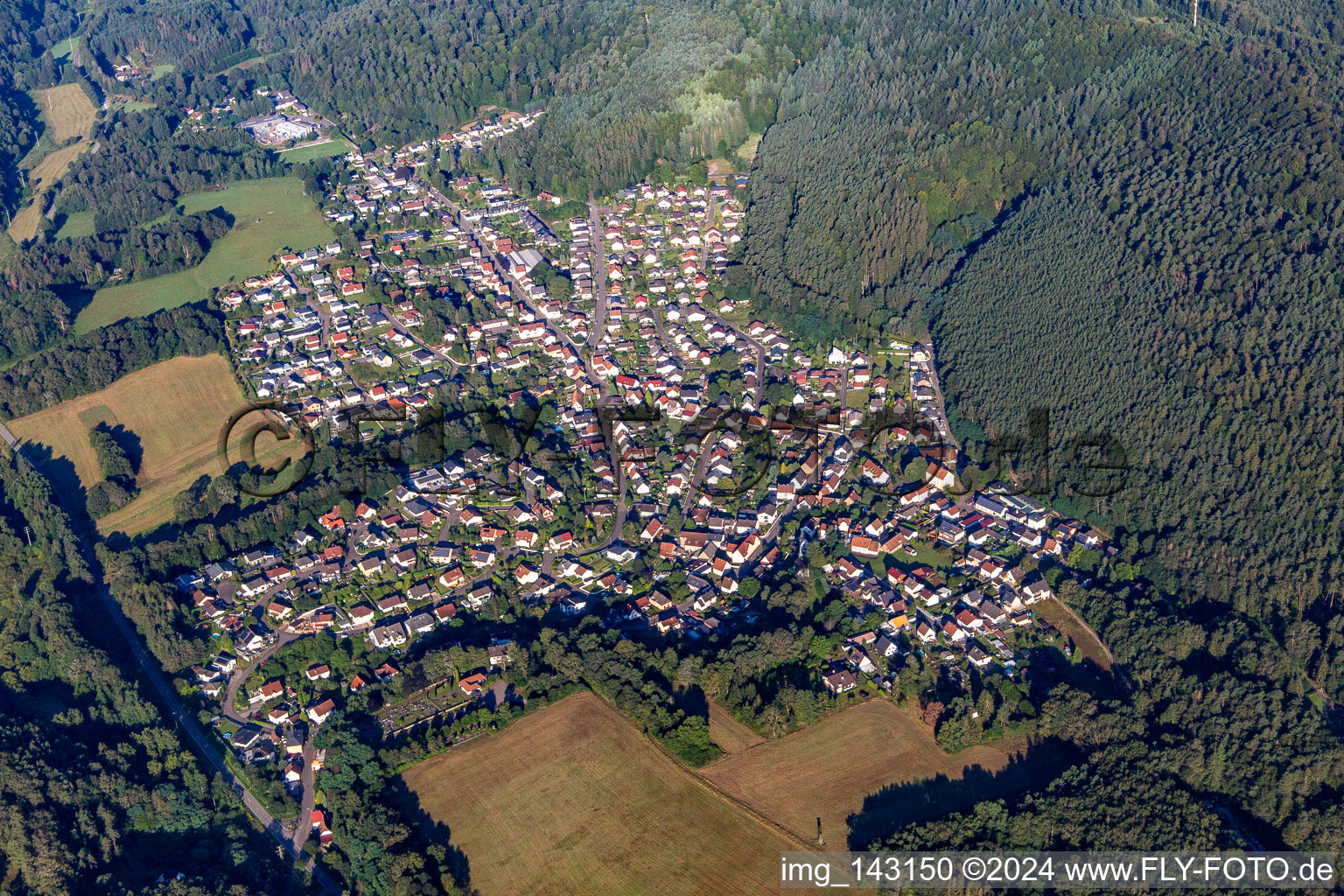 Ruppertsweiler dans le département Rhénanie-Palatinat, Allemagne vue d'en haut