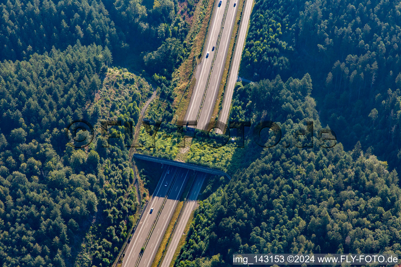 Vue aérienne de Pont vert de Walmersbach pour les animaux sauvages au-dessus de la B10 à Ruppertsweiler dans le département Rhénanie-Palatinat, Allemagne