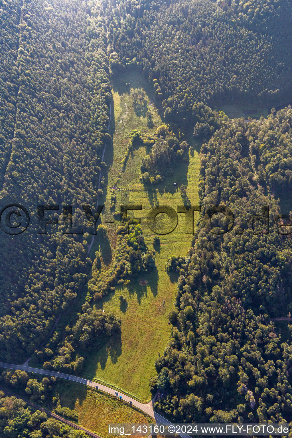 Vue aérienne de Dégagement dans le Seebachtal à Hinterweidenthal dans le département Rhénanie-Palatinat, Allemagne