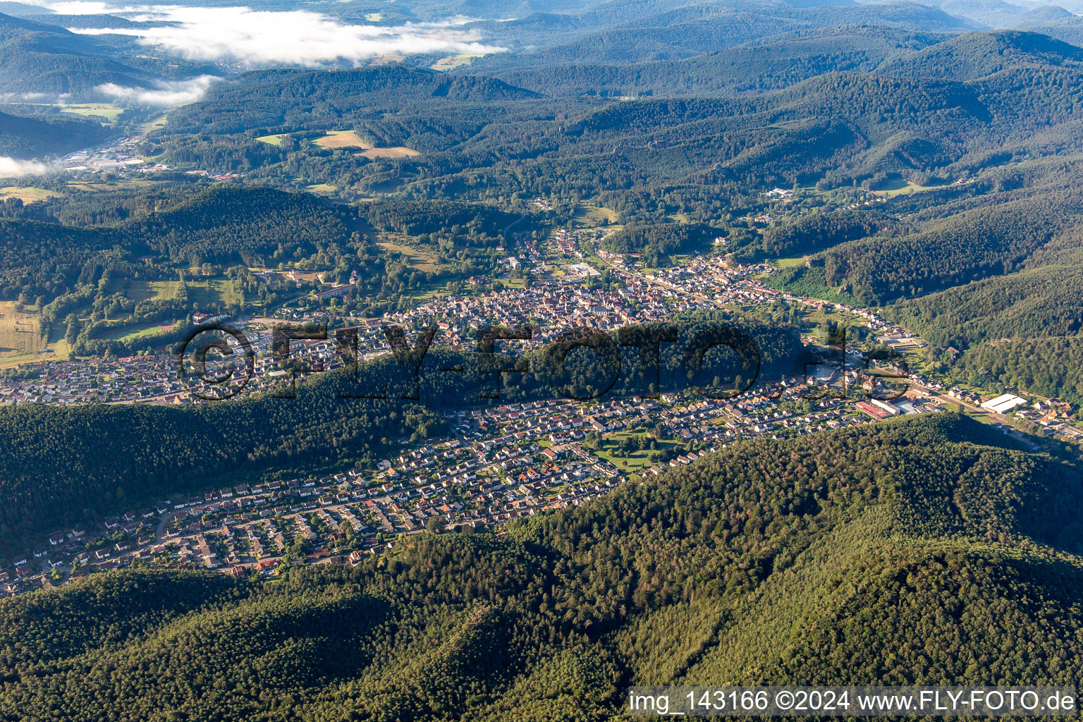 Vue aérienne de Du nord-ouest à Dahn dans le département Rhénanie-Palatinat, Allemagne