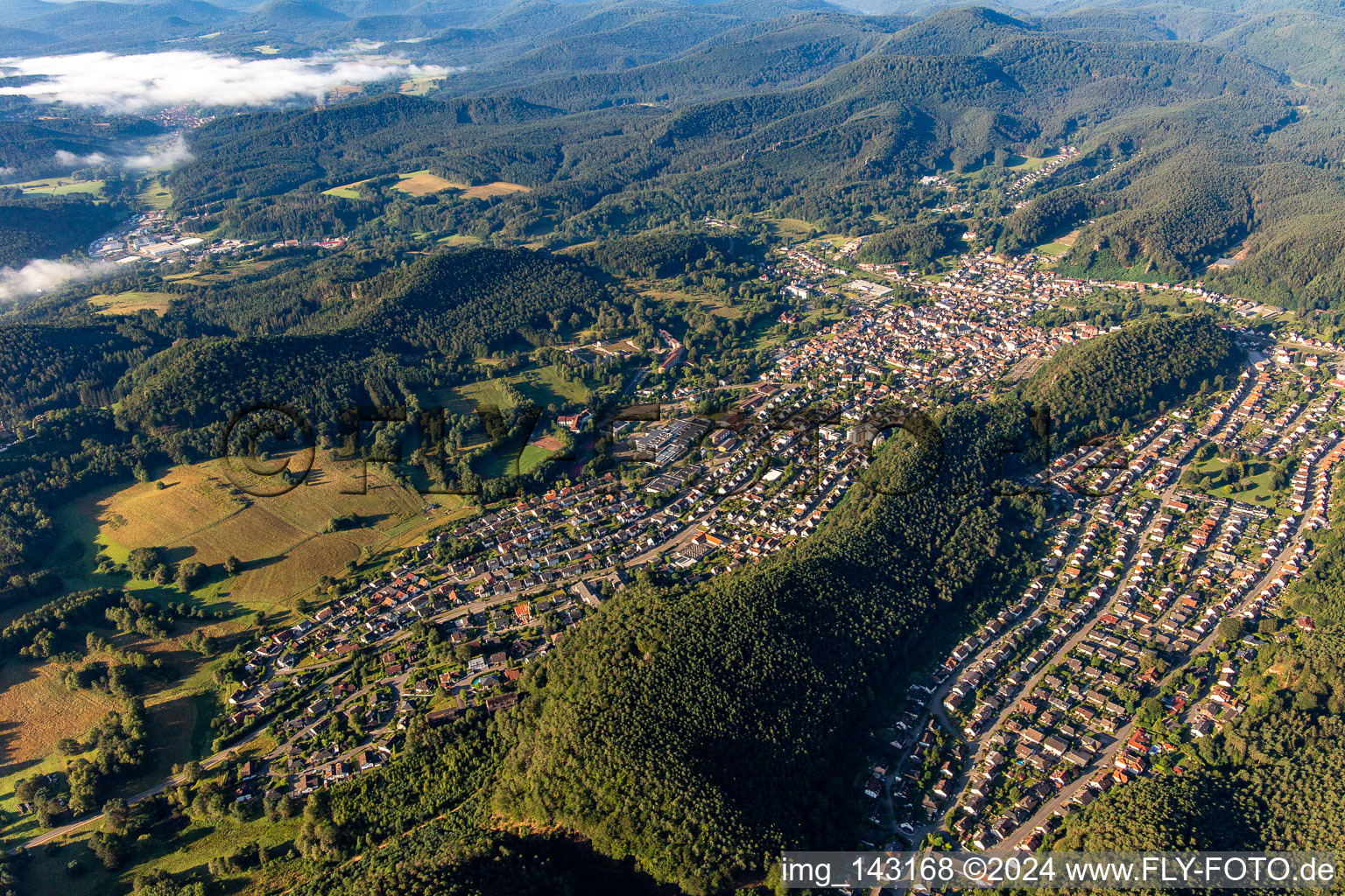 Vue aérienne de Du nord-ouest à Dahn dans le département Rhénanie-Palatinat, Allemagne