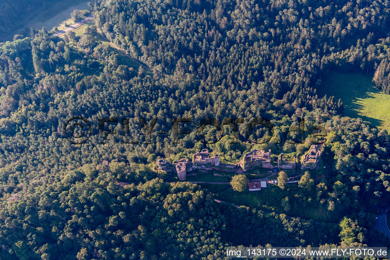 Massif du château d'Altdahn avec ruines des châteaux de Granfendahn et Tanstein à Dahn dans le département Rhénanie-Palatinat, Allemagne hors des airs