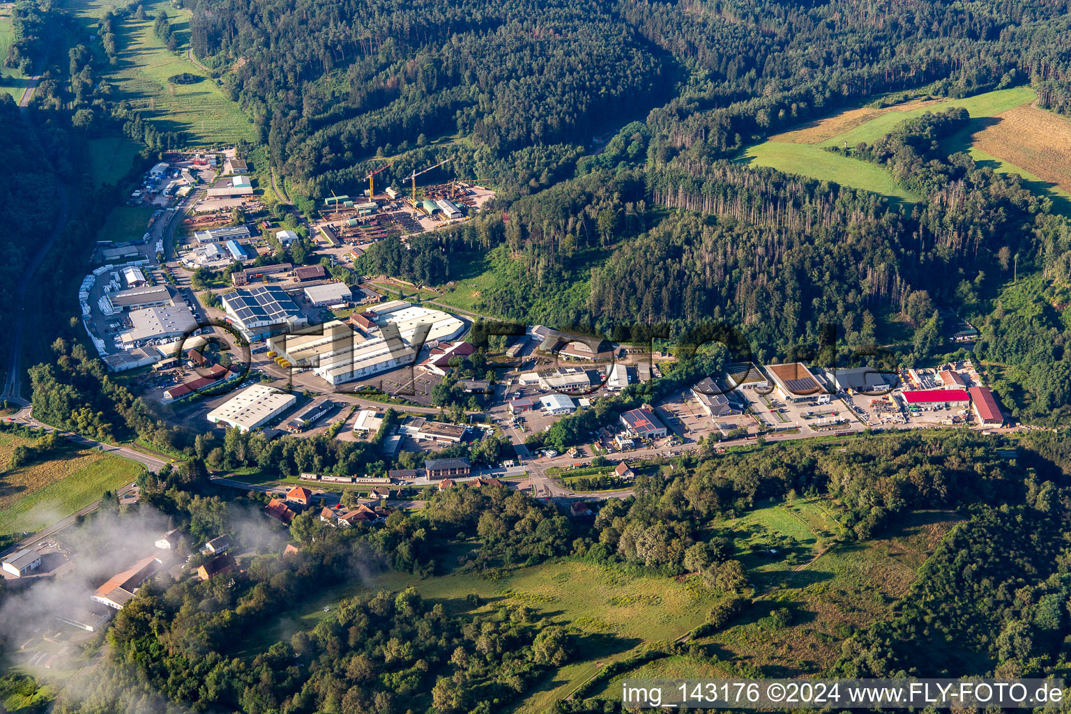 Photographie aérienne de Zone industrielle de Reichenbach à Dahn dans le département Rhénanie-Palatinat, Allemagne