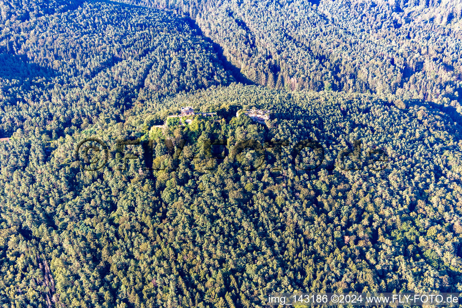 Vue aérienne de Rune du château de Drachenfels à Busenberg dans le département Rhénanie-Palatinat, Allemagne