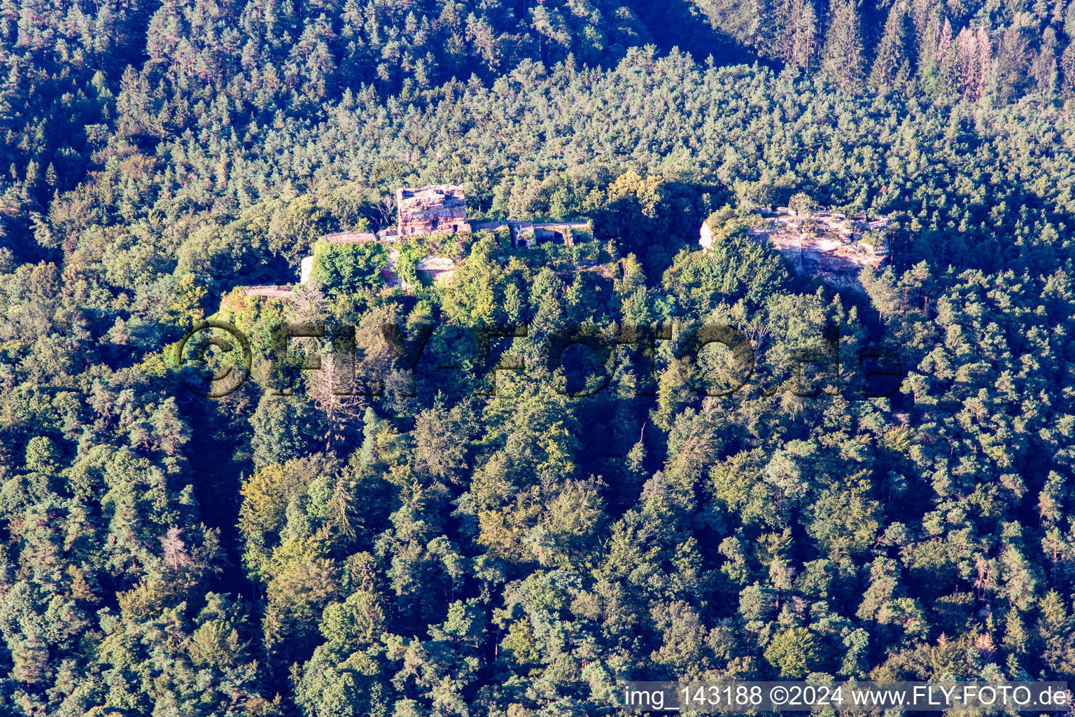 Vue aérienne de Rune du château de Drachenfels à Busenberg dans le département Rhénanie-Palatinat, Allemagne