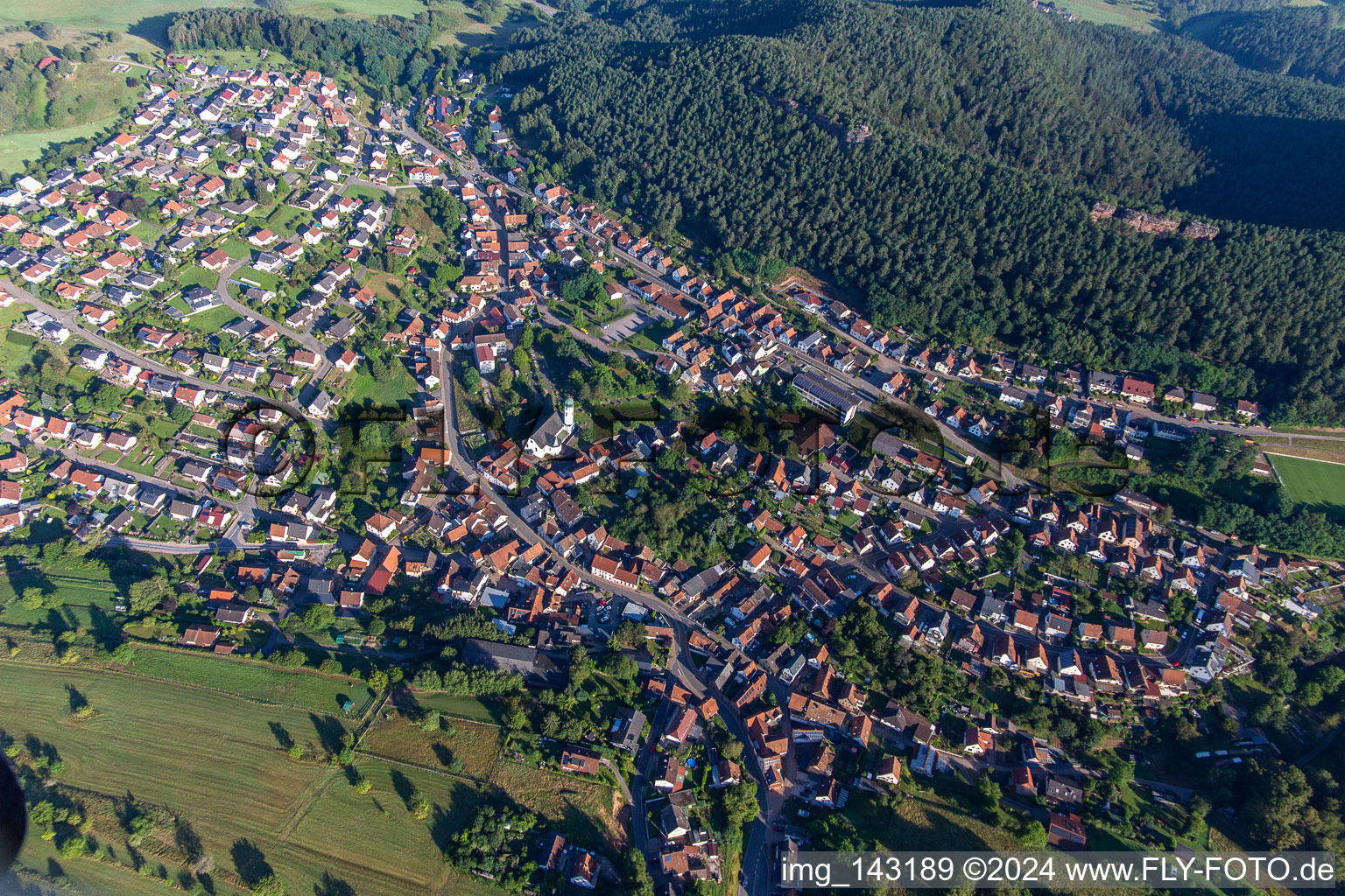 Vue aérienne de Du sud-est à Busenberg dans le département Rhénanie-Palatinat, Allemagne