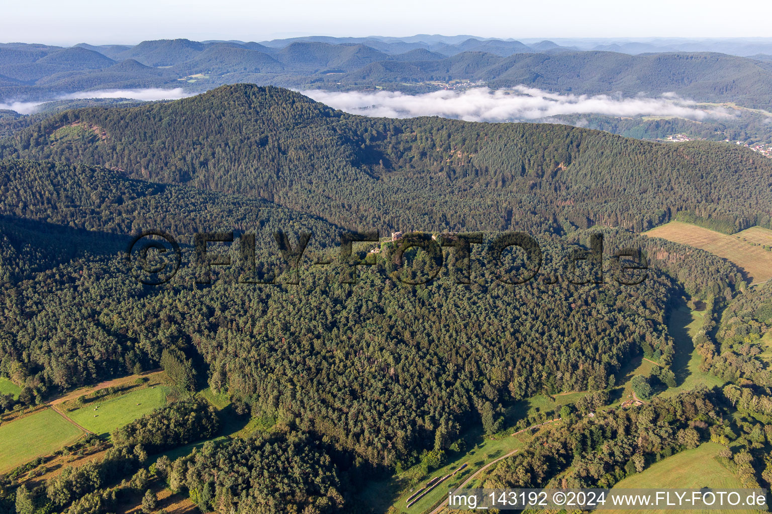 Photographie aérienne de Rune du château de Drachenfels à Busenberg dans le département Rhénanie-Palatinat, Allemagne