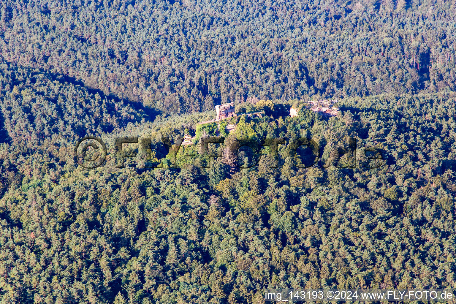 Vue oblique de Rune du château de Drachenfels à Busenberg dans le département Rhénanie-Palatinat, Allemagne