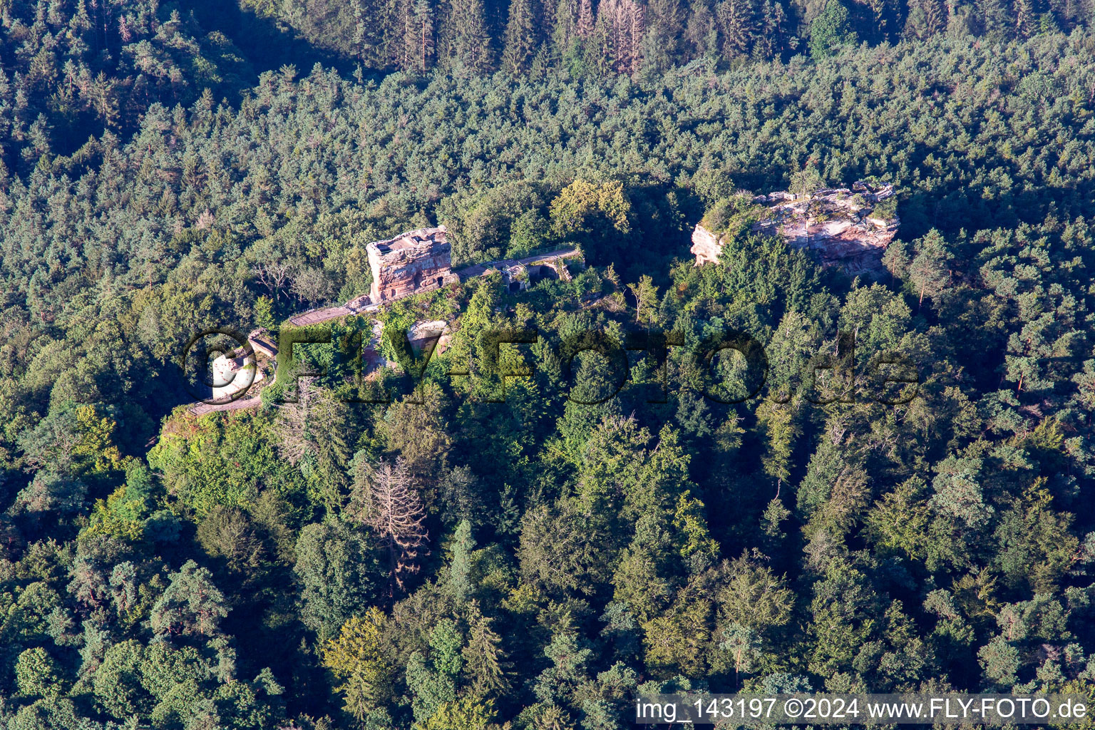 Rune du château de Drachenfels à Busenberg dans le département Rhénanie-Palatinat, Allemagne d'en haut