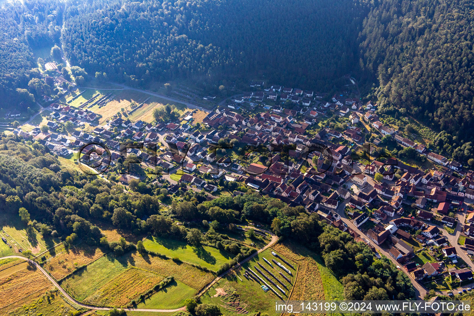 Du nord-ouest à Vorderweidenthal dans le département Rhénanie-Palatinat, Allemagne d'en haut