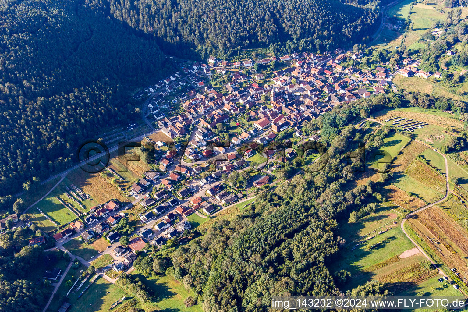 Vorderweidenthal dans le département Rhénanie-Palatinat, Allemagne d'en haut