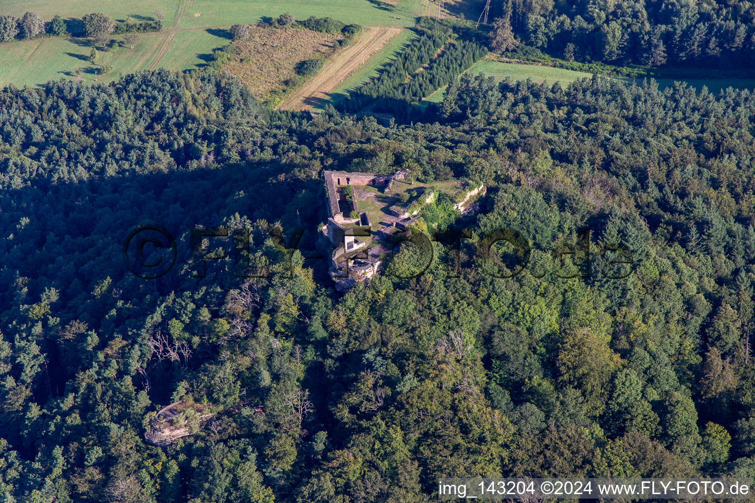 Ruines du château de Lindelbrunn à Vorderweidenthal dans le département Rhénanie-Palatinat, Allemagne vue d'en haut