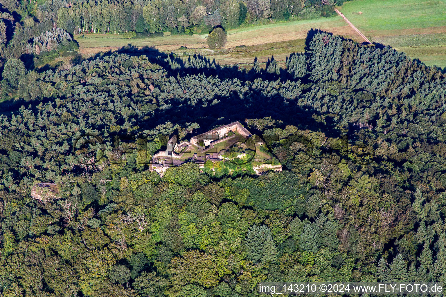 Vue aérienne de Ruines du château de Lindelbrunn à le quartier Gossersweiler in Gossersweiler-Stein dans le département Rhénanie-Palatinat, Allemagne