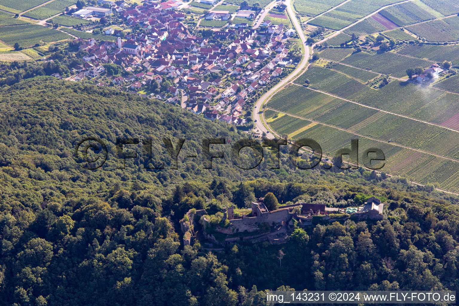 Vue aérienne de Madenburg, Vestiges d'un château perché du XIe siècle entouré de forêts avec un restaurant à l'ouest à Eschbach dans le département Rhénanie-Palatinat, Allemagne