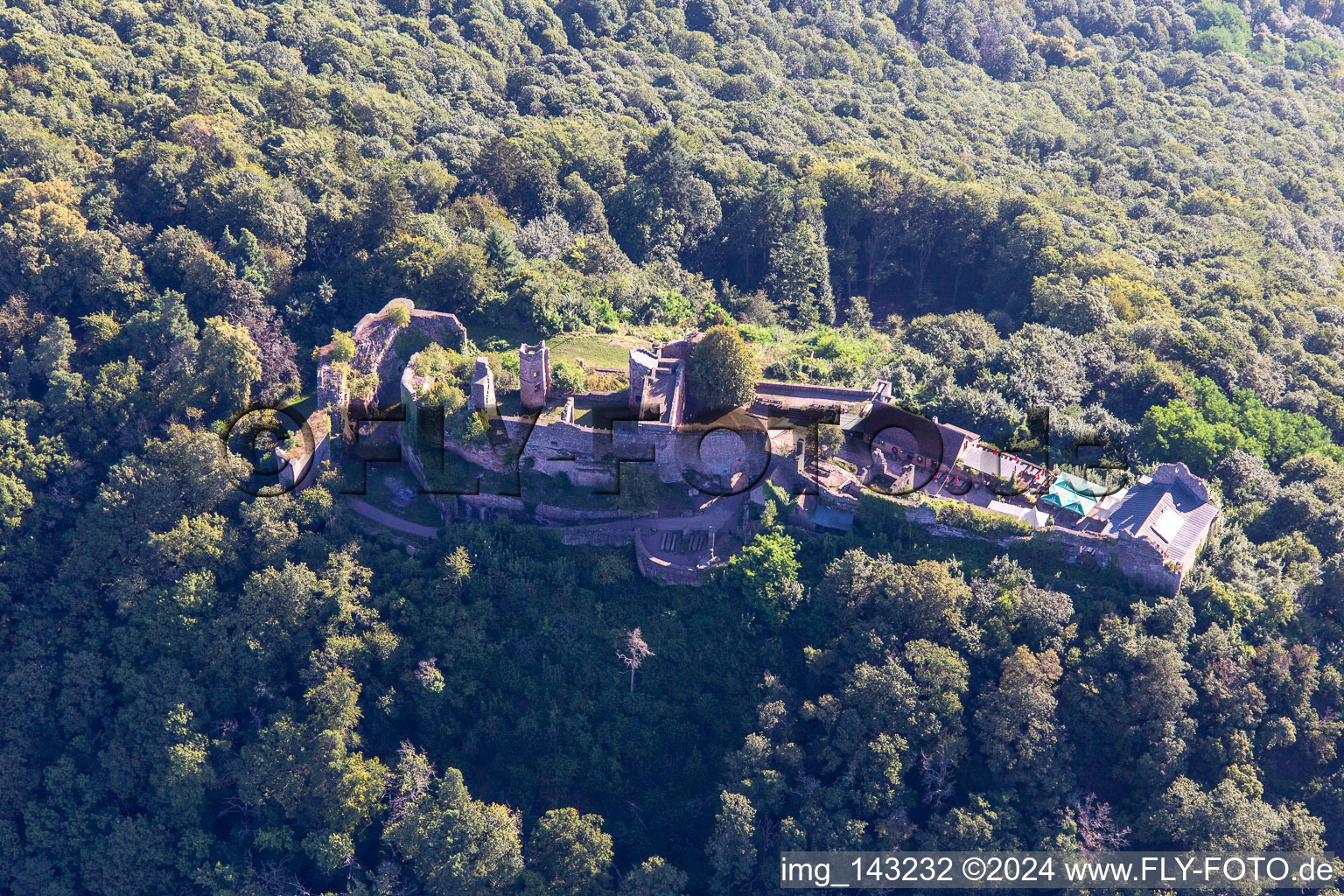 Vue aérienne de Madenburg, Vestiges d'un château perché du XIe siècle entouré de forêts avec un restaurant à l'ouest à Eschbach dans le département Rhénanie-Palatinat, Allemagne