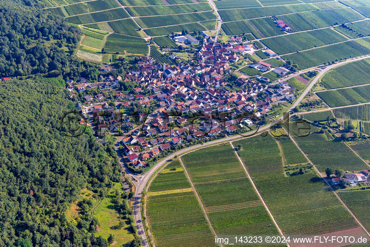 Vue aérienne de Du sud à Eschbach dans le département Rhénanie-Palatinat, Allemagne