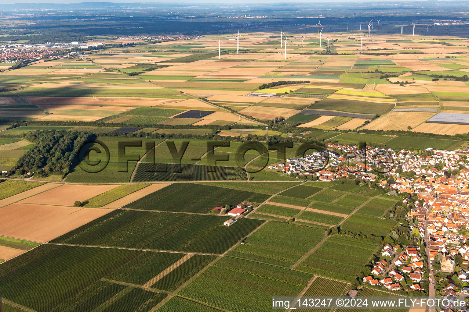 Insheim dans le département Rhénanie-Palatinat, Allemagne du point de vue du drone