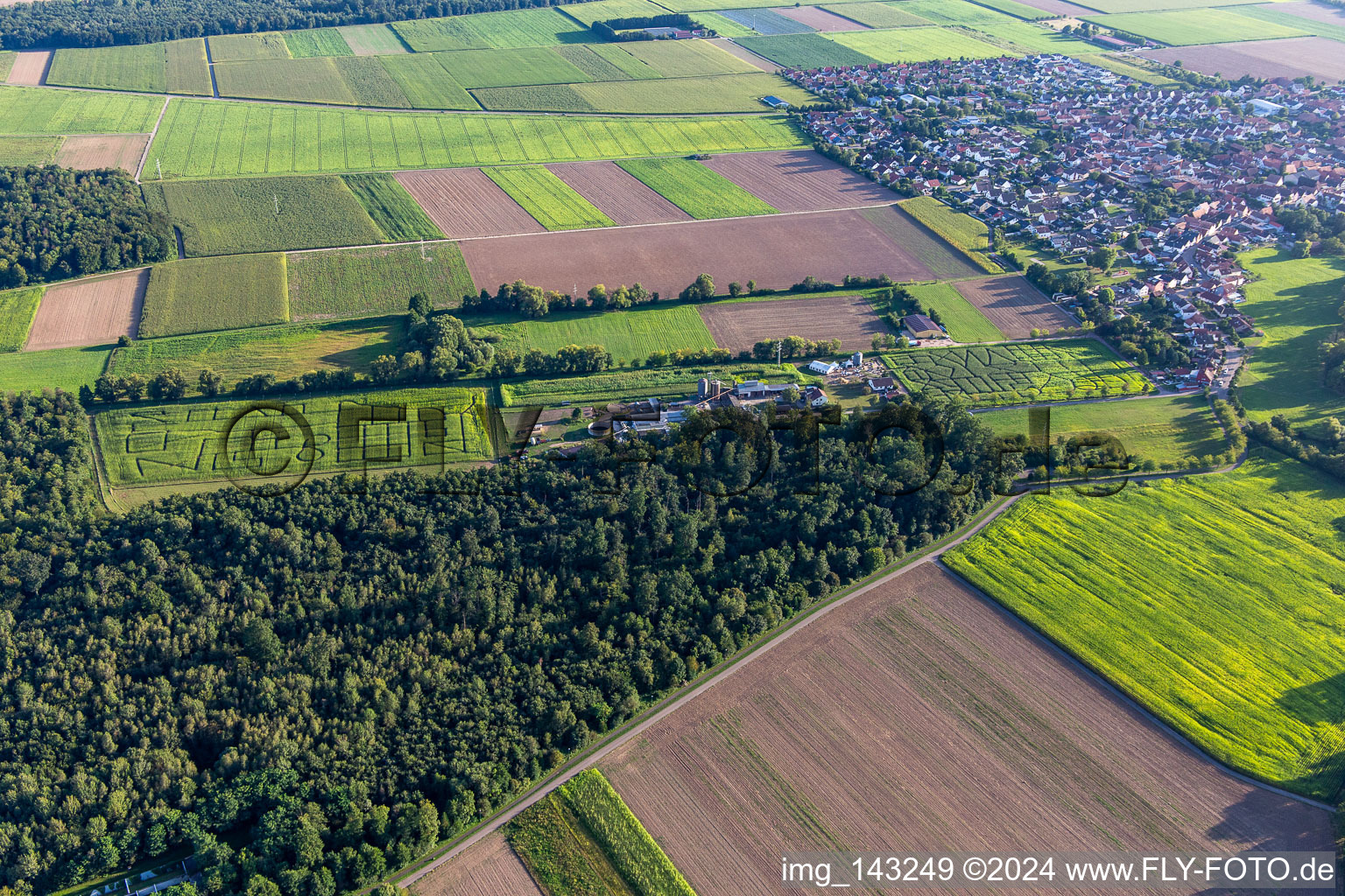 Labyrinthe de maïs, lieu de mariage et salon de plage Seehof à Steinweiler dans le département Rhénanie-Palatinat, Allemagne vu d'un drone