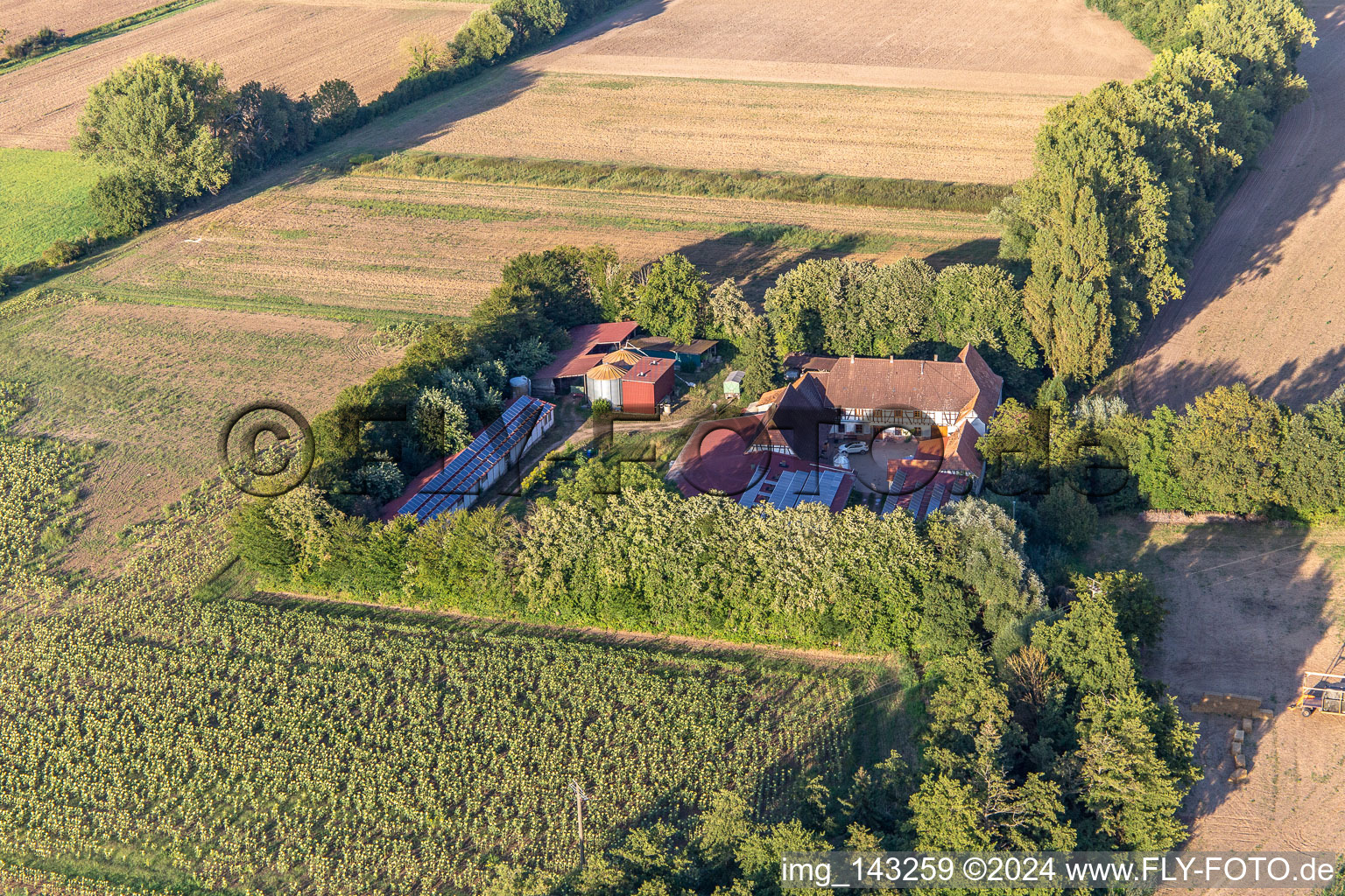 Vue aérienne de Leistenmühle sur l'Erlenbach à Kandel dans le département Rhénanie-Palatinat, Allemagne