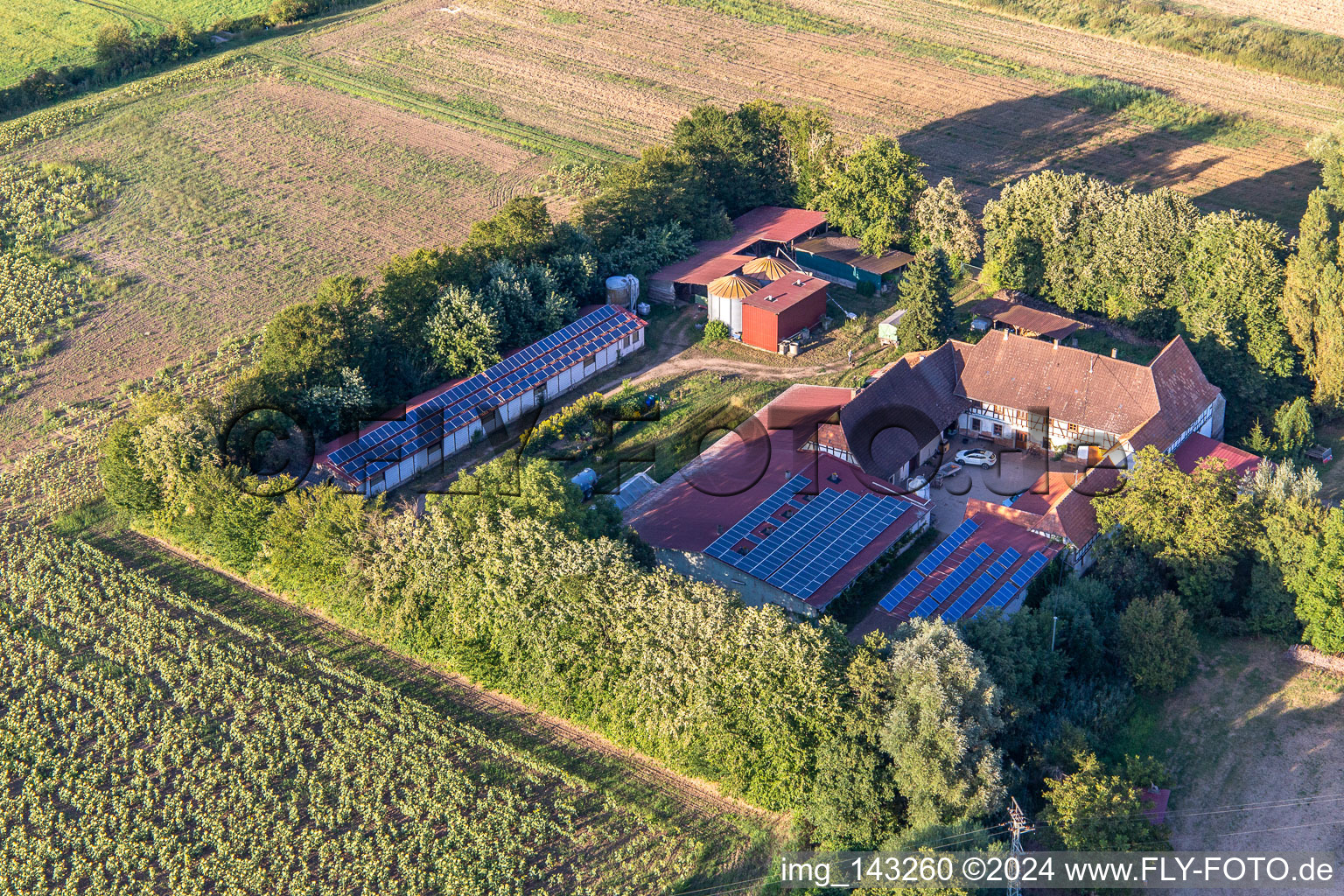 Photographie aérienne de Leistenmühle sur l'Erlenbach à Kandel dans le département Rhénanie-Palatinat, Allemagne