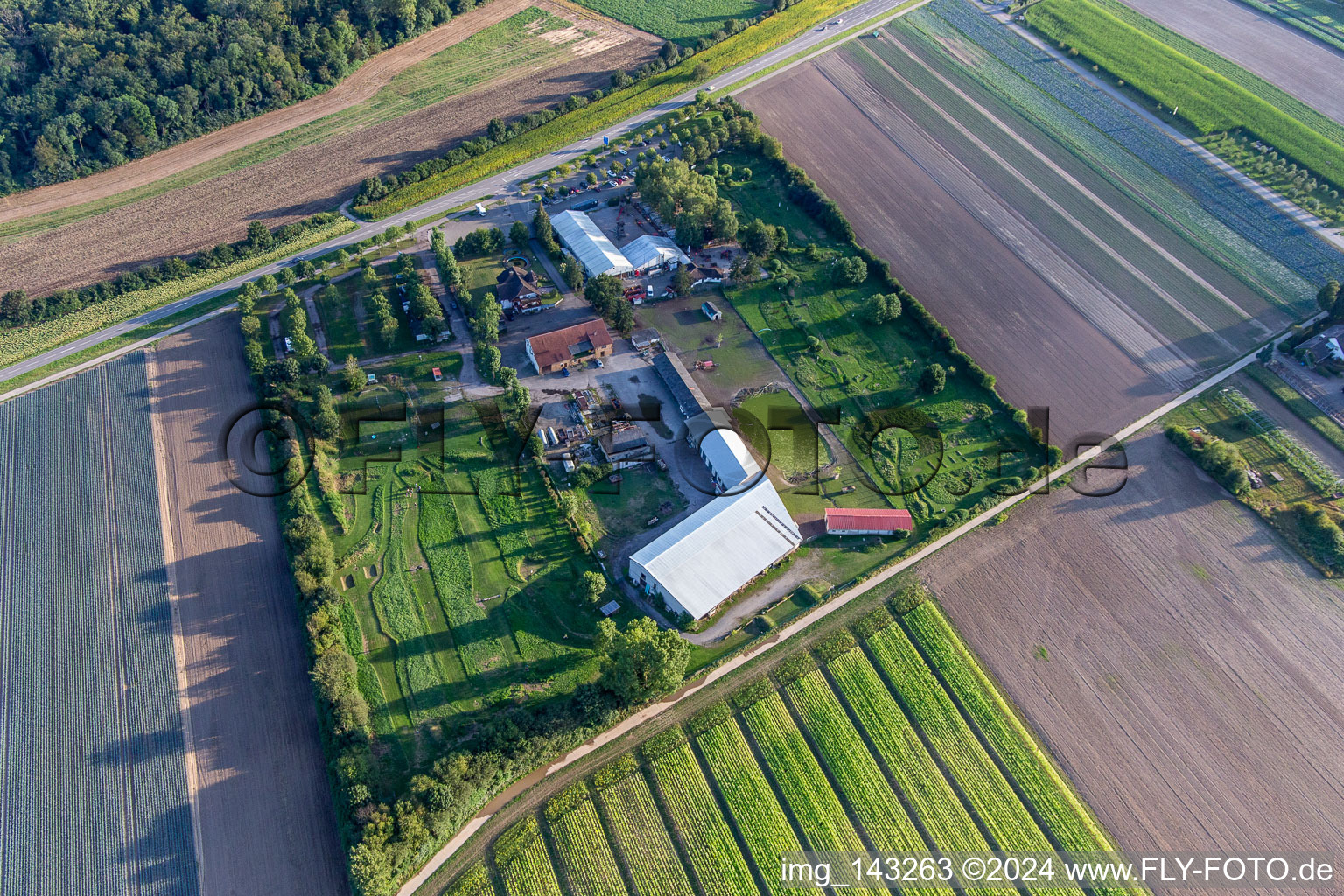 Photographie aérienne de Footgolf Park Südpfalz à Adamshof à Kandel dans le département Rhénanie-Palatinat, Allemagne
