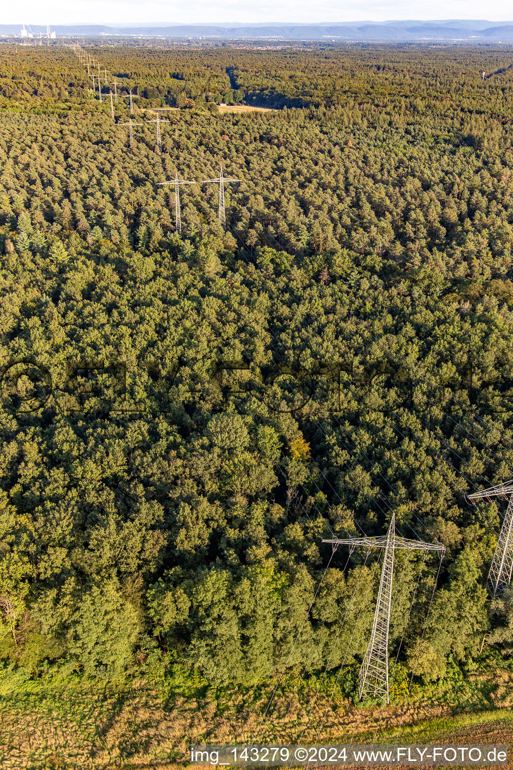 Photographie aérienne de Wörth am Rhein dans le département Rhénanie-Palatinat, Allemagne